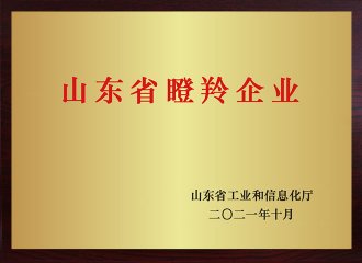 山東省瞪羚企業(yè)